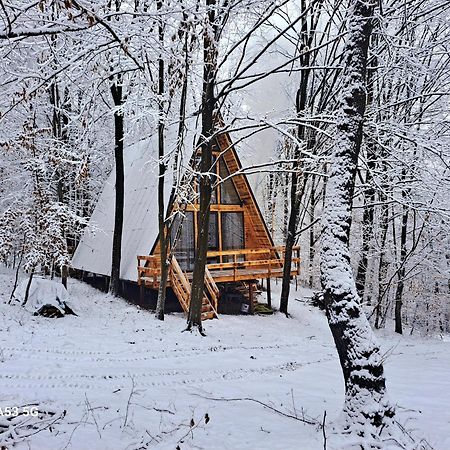 Cabanaaframe Curtea de Argeş 外观 照片